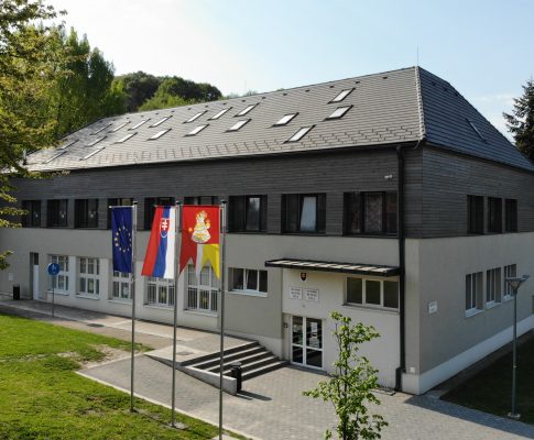 Mládež